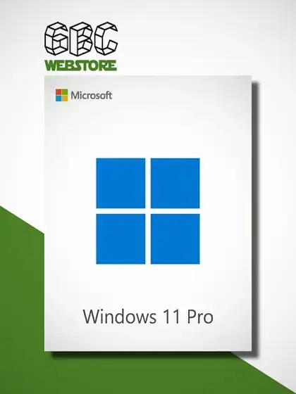 Windows 11 Pro 1
